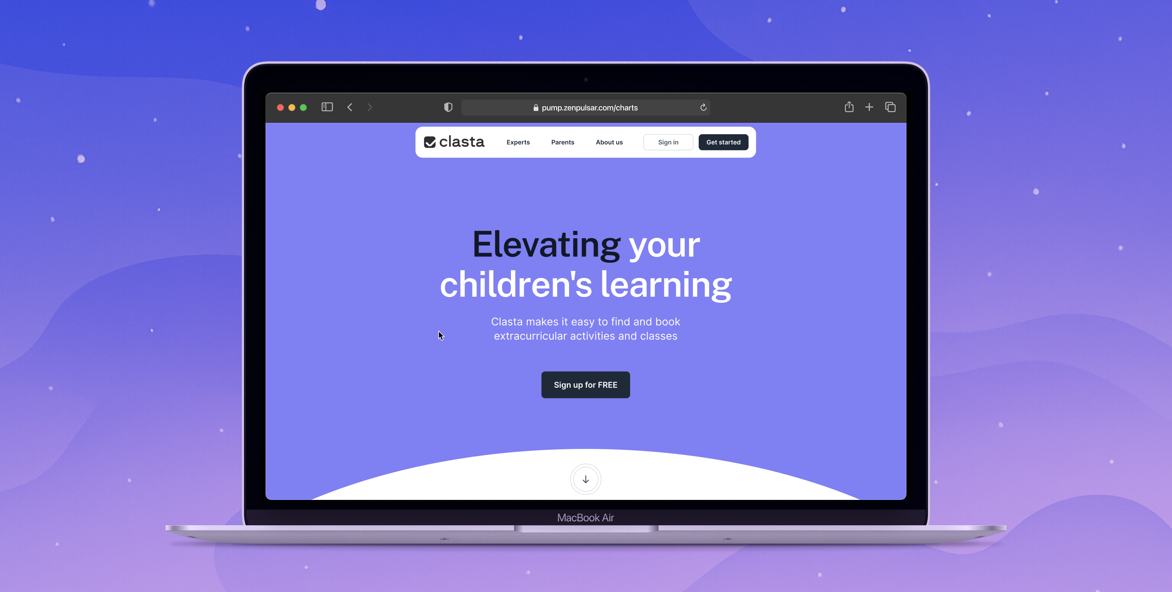 Clasta project screenshot